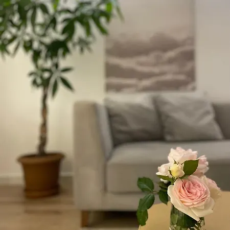 Luxury Lily's * Shkodër